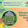 Hidropónia, sistema de cultivo NFT